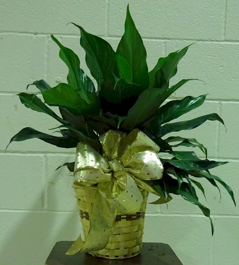 Flowers from Global Harvest Foods - Harold, SD