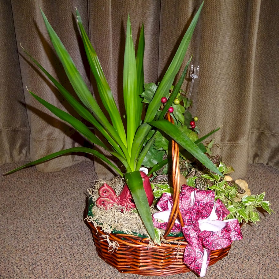 Flowers from Jeremy Delaney