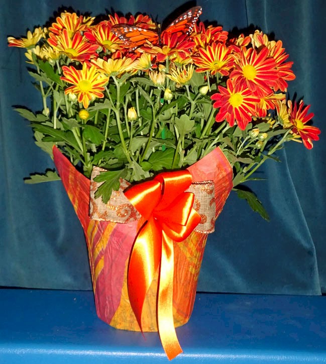 Flowers from Dean, Terri, Jackson, and Tana