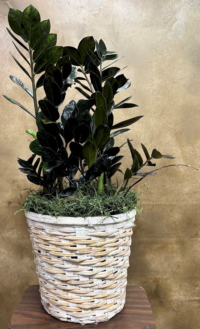 Flowers from Julie Jones Family