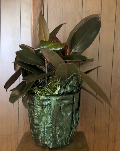 Flowers from The Stone Family