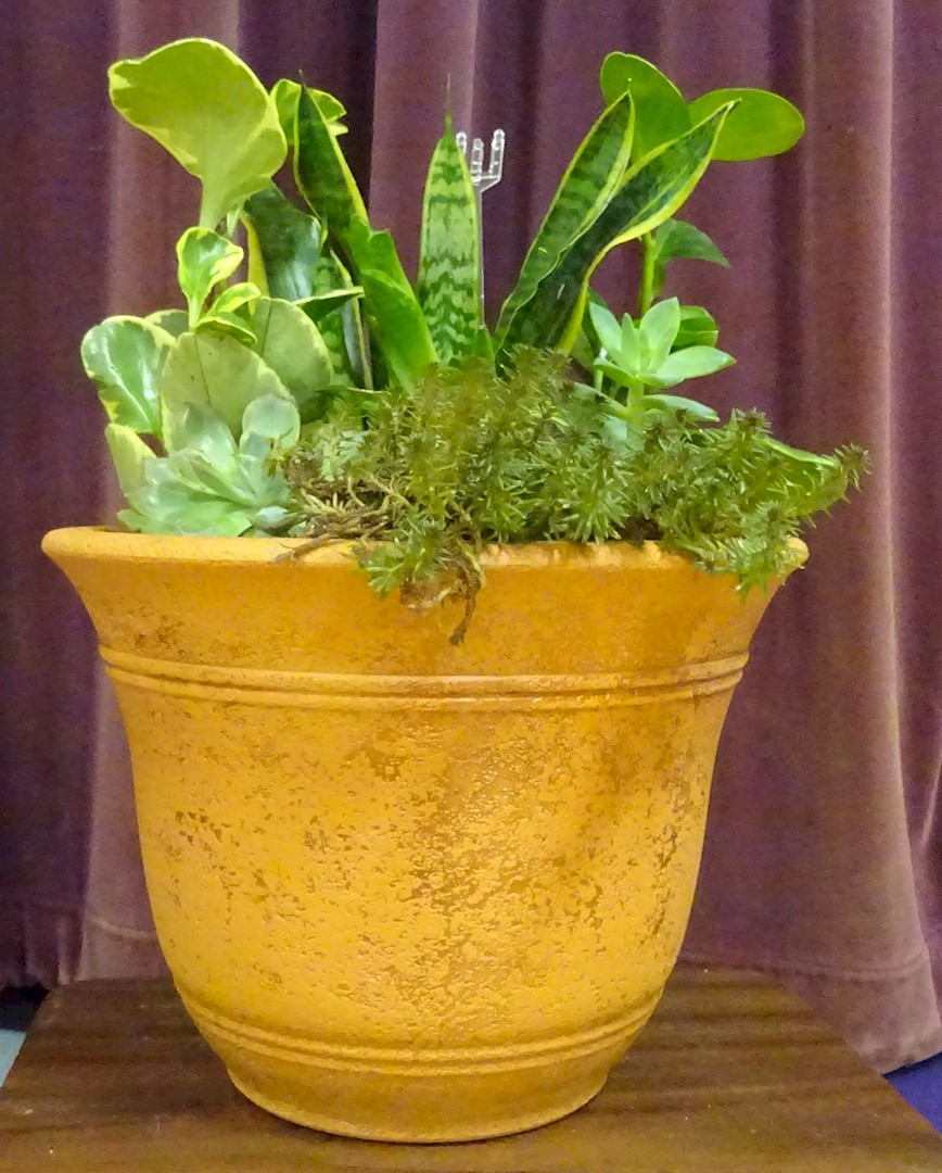 Flowers from Kadoka Ambulance Service