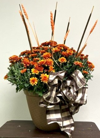Flowers from Dakota Country Pharmacy
