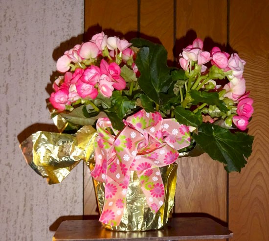 Flowers from Dakota Country Pharmacy