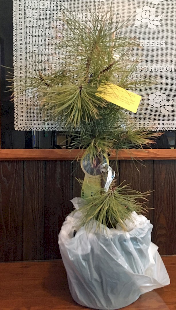 Flowers from Midland Volunteer Fire Department and Midland Community Fire Protection District