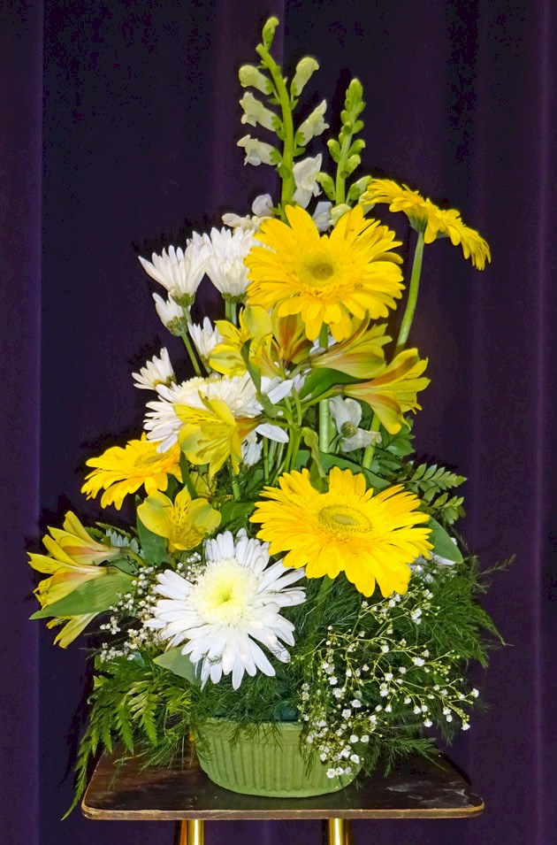 Flowers from Tom, Ryan, Todd, Gaylord, Don, Robin, Chad, and Jared