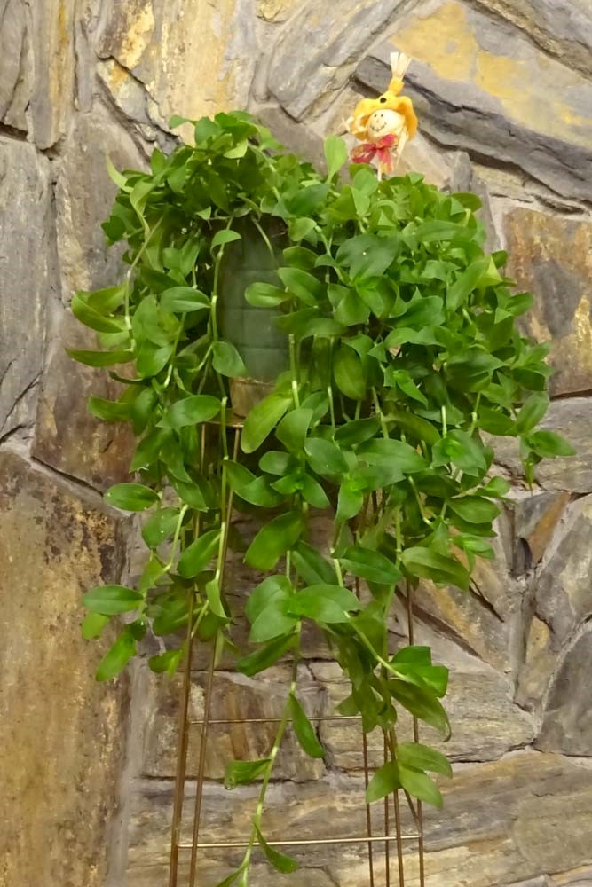 Flowers from Mike & Shar Moses