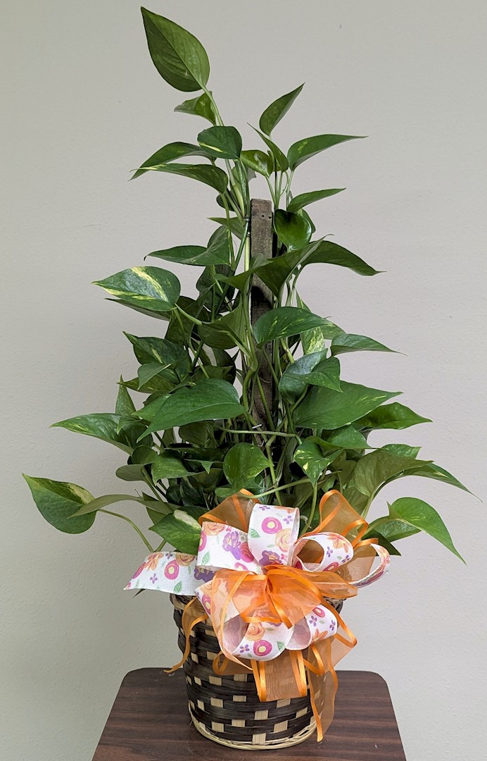 Flowers from Bank West Insurance