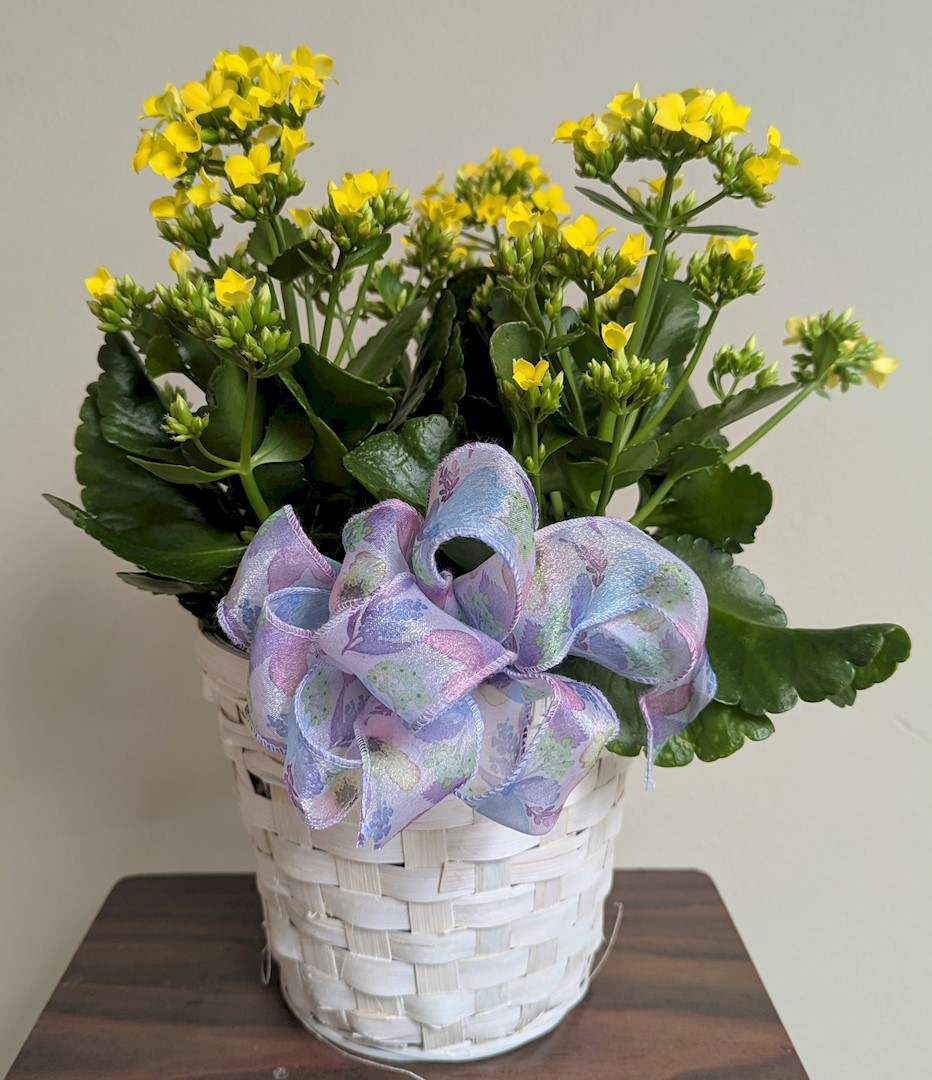 Flowers from Dakota Country Pharmacy