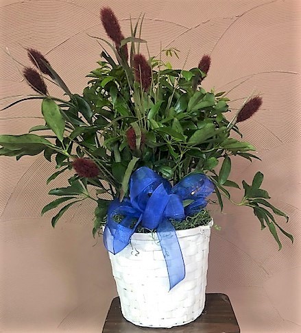 Flowers from The Pettyjohn's - Brenda and Melissa; Ted, Laurie, and Family; and Jana Eich and Family