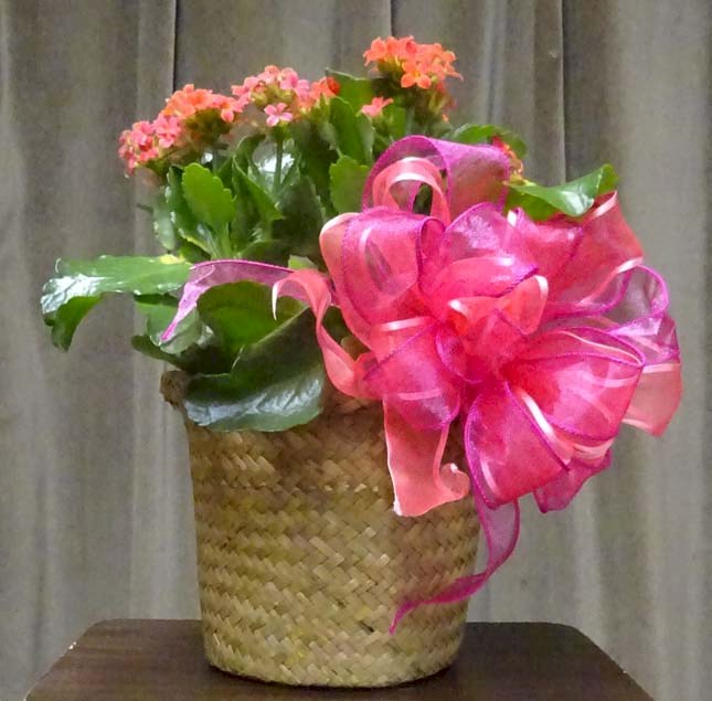 Flowers from Don and Linda