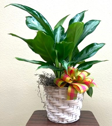 Flowers from Wall Economic Development