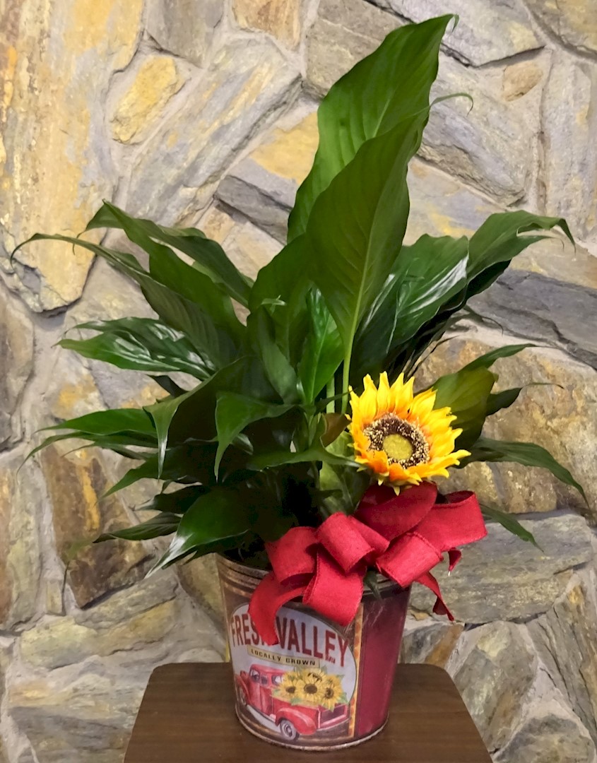 Flowers from Zoni and Corky Thorson, Julie (Gittings), and Jamie and Taylor Neugebauer