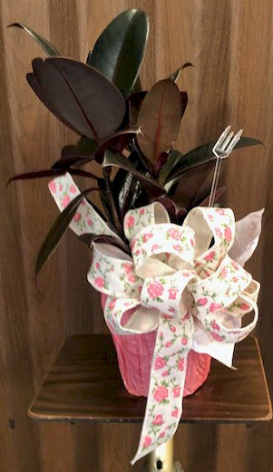 Flowers from Class of '69