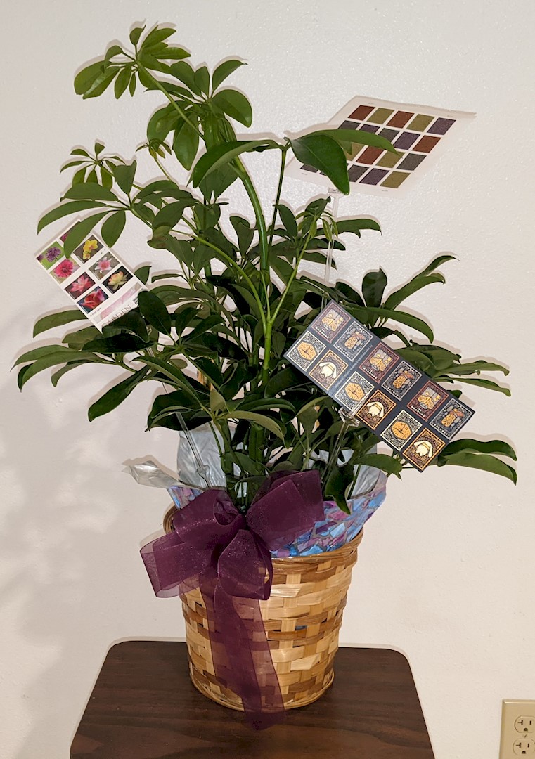 Flowers from Martin Post Office Crew