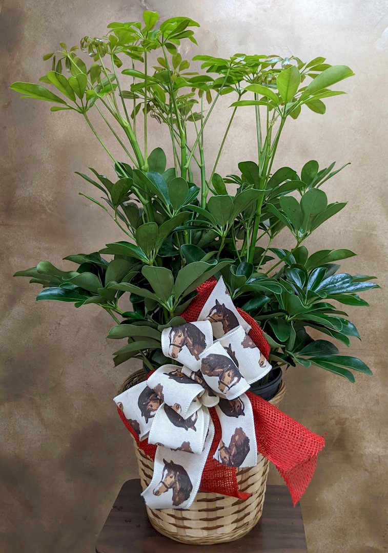 Flowers from Brian and Heather Hanson and Family