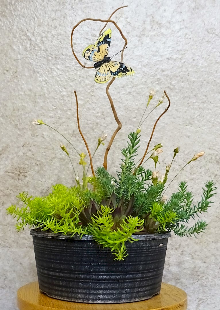 Flowers from Byron and Kristi Noem