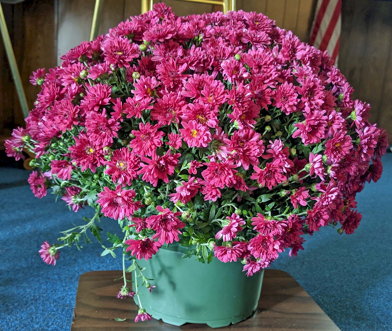 Flowers from Family