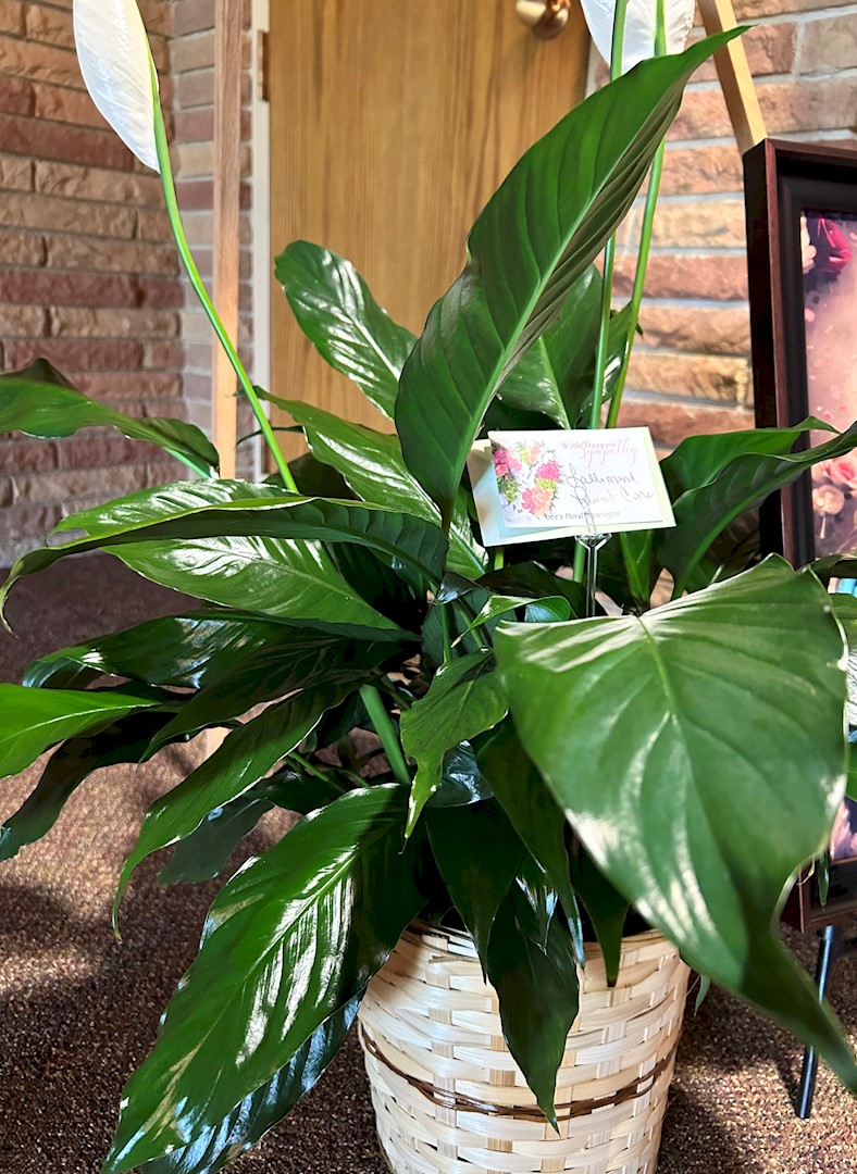 Flowers from Lallemand Plant Care