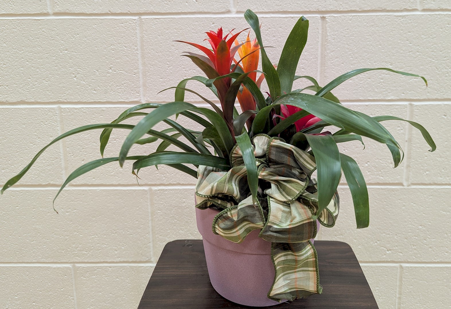Flowers from Dan and Cindy Hauk