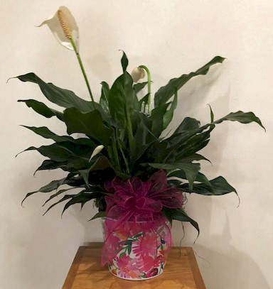 Flowers from Cathy, Rena & Jerrod, Jamie, and Family