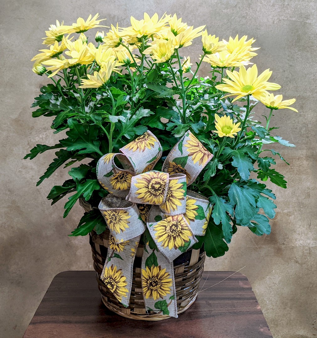 Flowers from Dakota Country Pharmacy