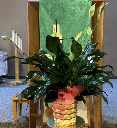 Flowers from Duane Wharton and Kim Westall