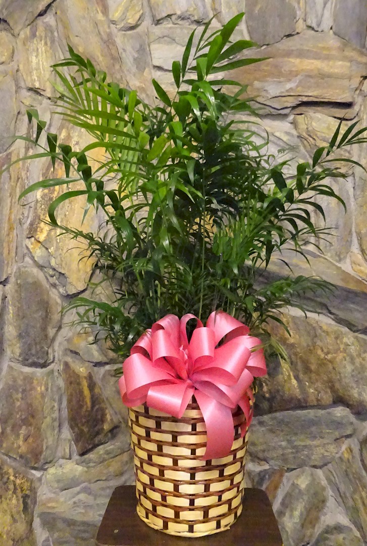 Flowers from Dustin Curr