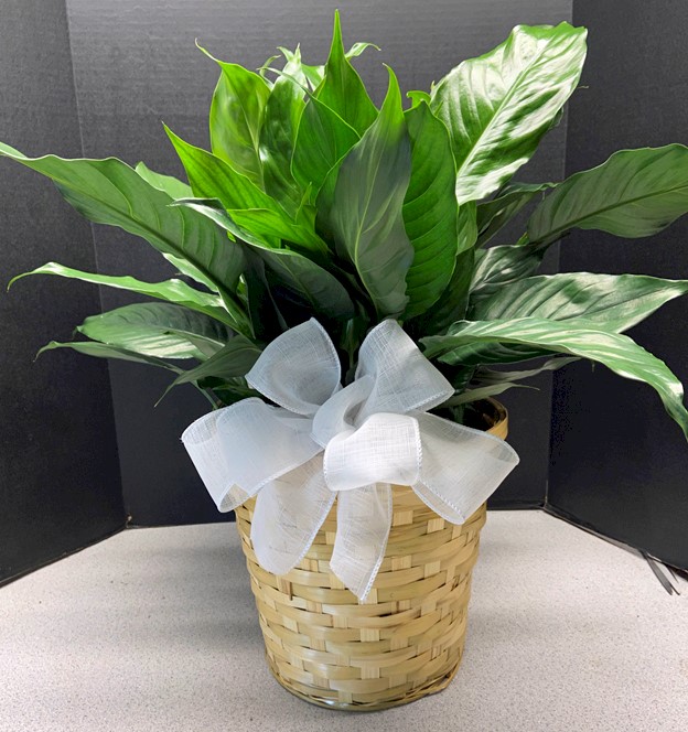 Flowers from Golden West Employees and Board Members