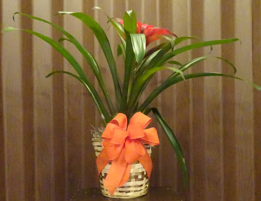 Flowers from The Myers Family - Bill, Deb, and sons