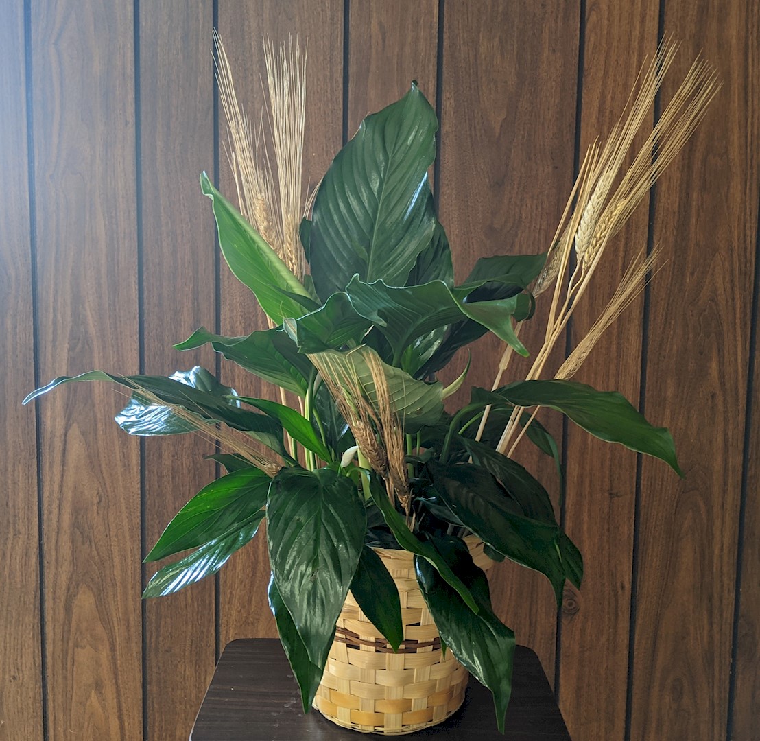 Flowers from Kathy McGeehon Clabough
