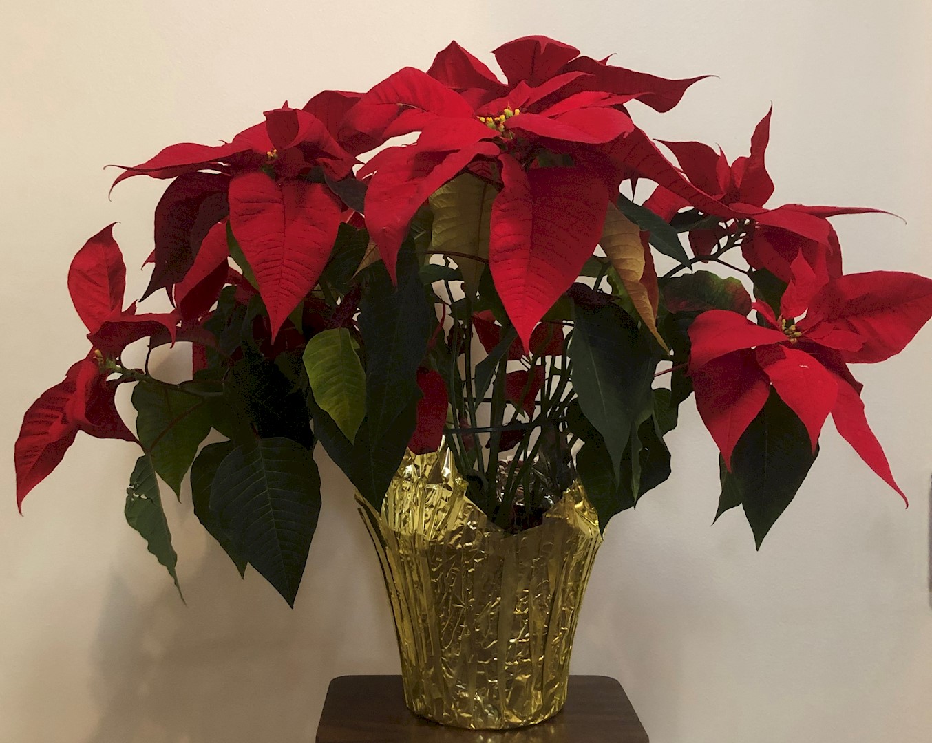 Flowers from The Dick Kjerstad Family and the Crown Family