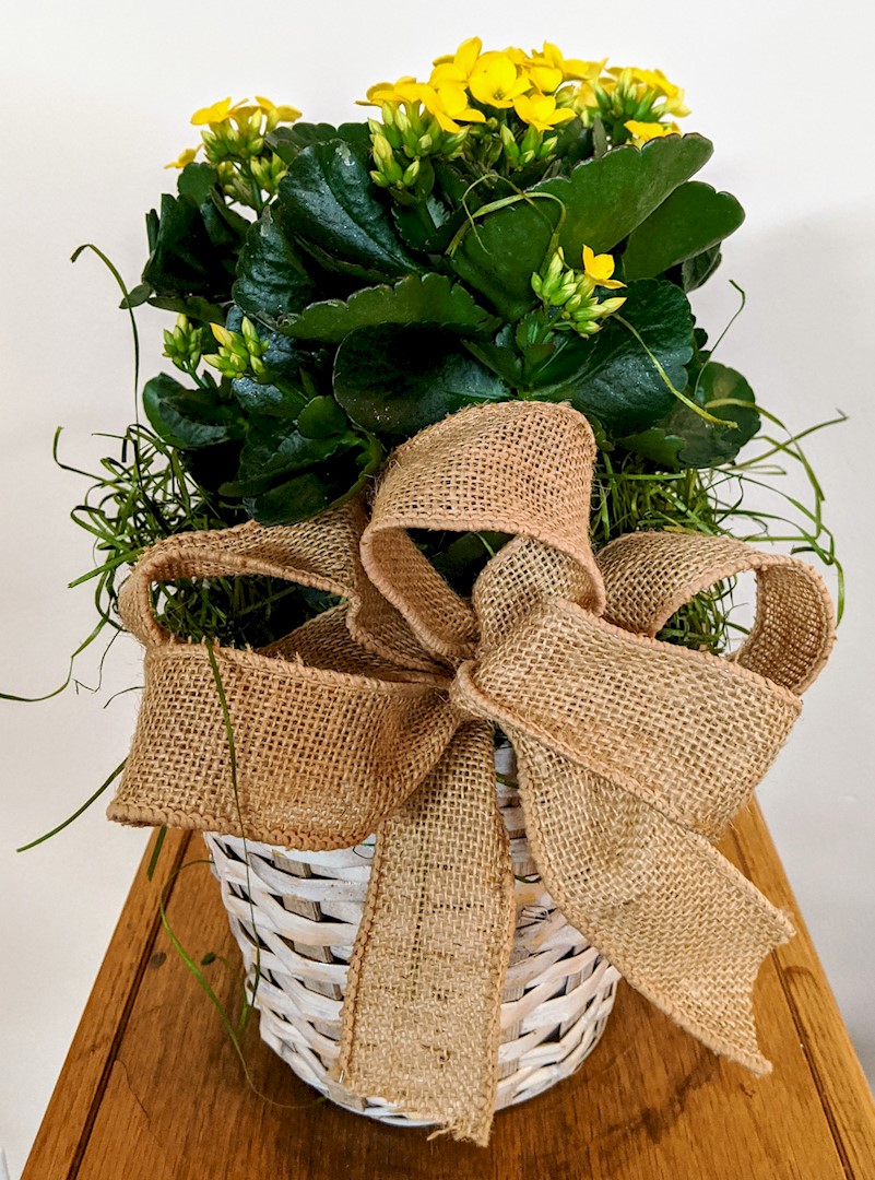 Flowers from Dakota Country Pharmacy