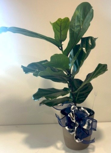 Flowers from Holsether Trucking