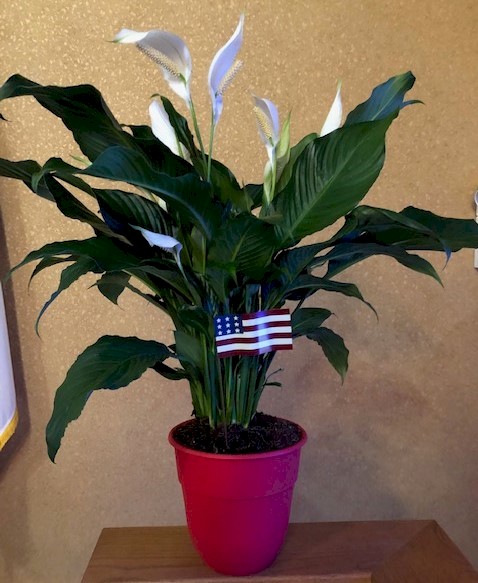 Flowers from The Haerer Kids - Wayne, Eldean, Wayne Dean, Nancy, Roger, and Bonna