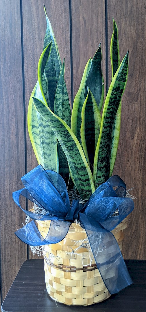Flowers from Kadoka Area School District Staff and School Board