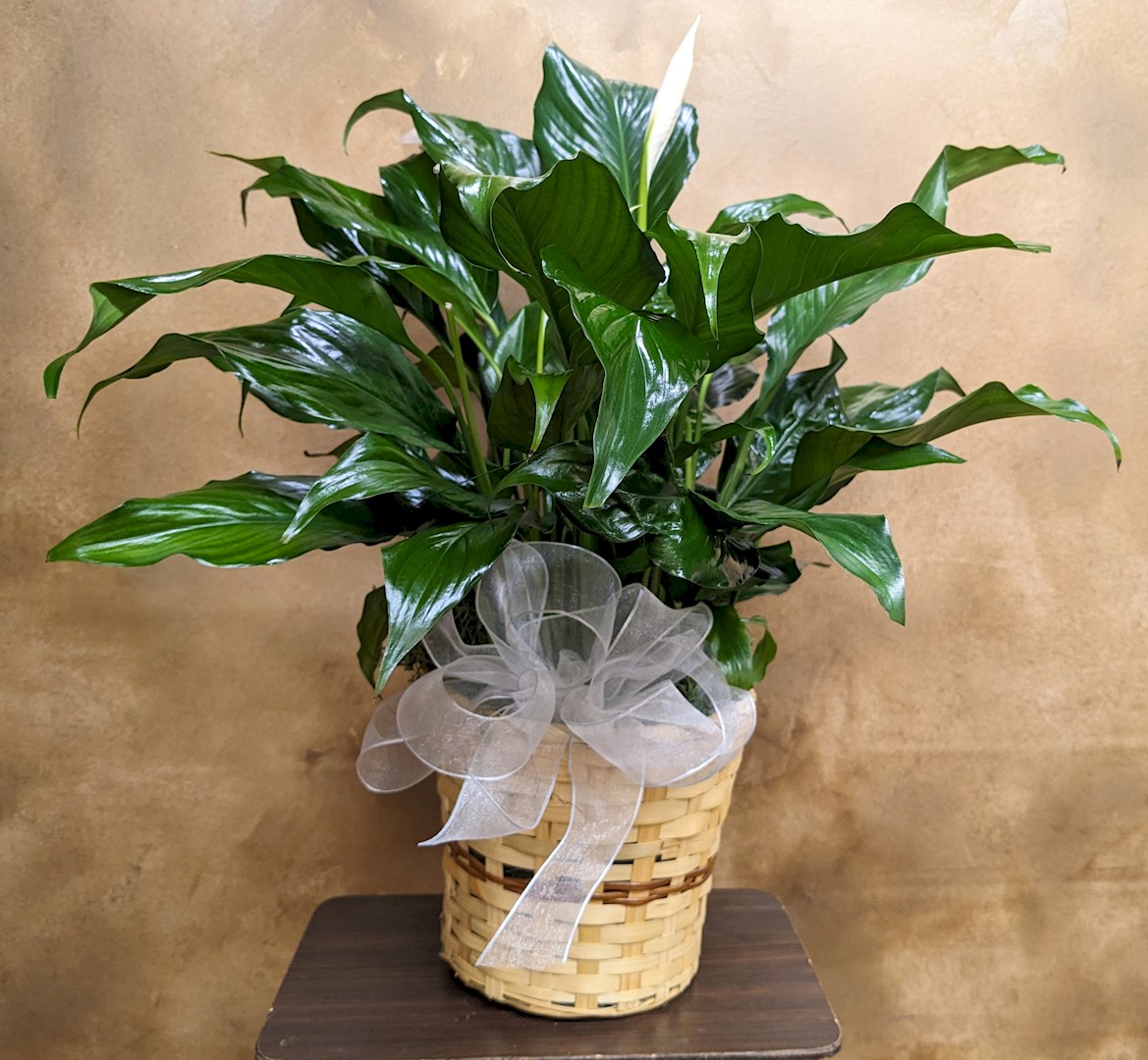 Flowers from Cathie Handcock and Family