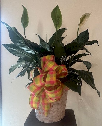 Flowers from Hanna and Reischl Family