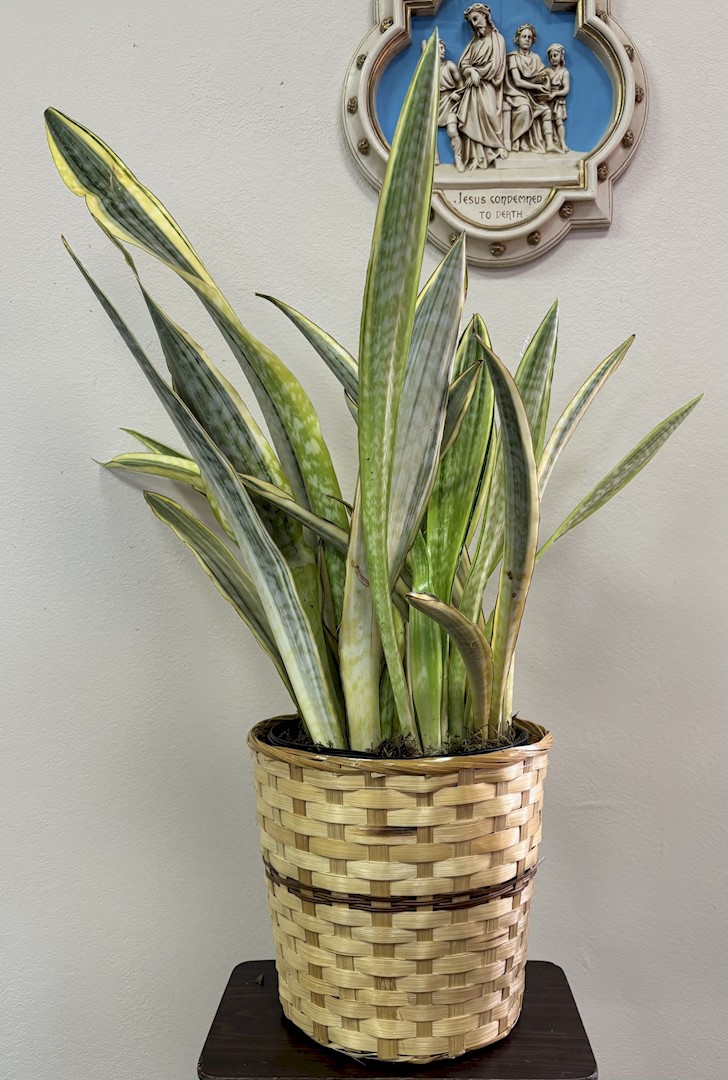 Flowers from Matt and Cindy Turner; Dillon and Courtney Turner and Family; and Cody Turner