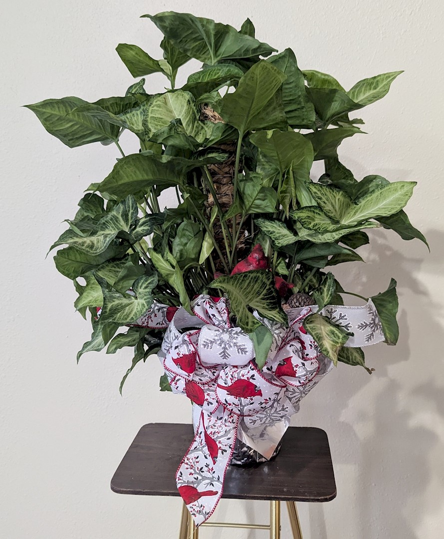 Flowers from Dan and Cindy Hauk Families