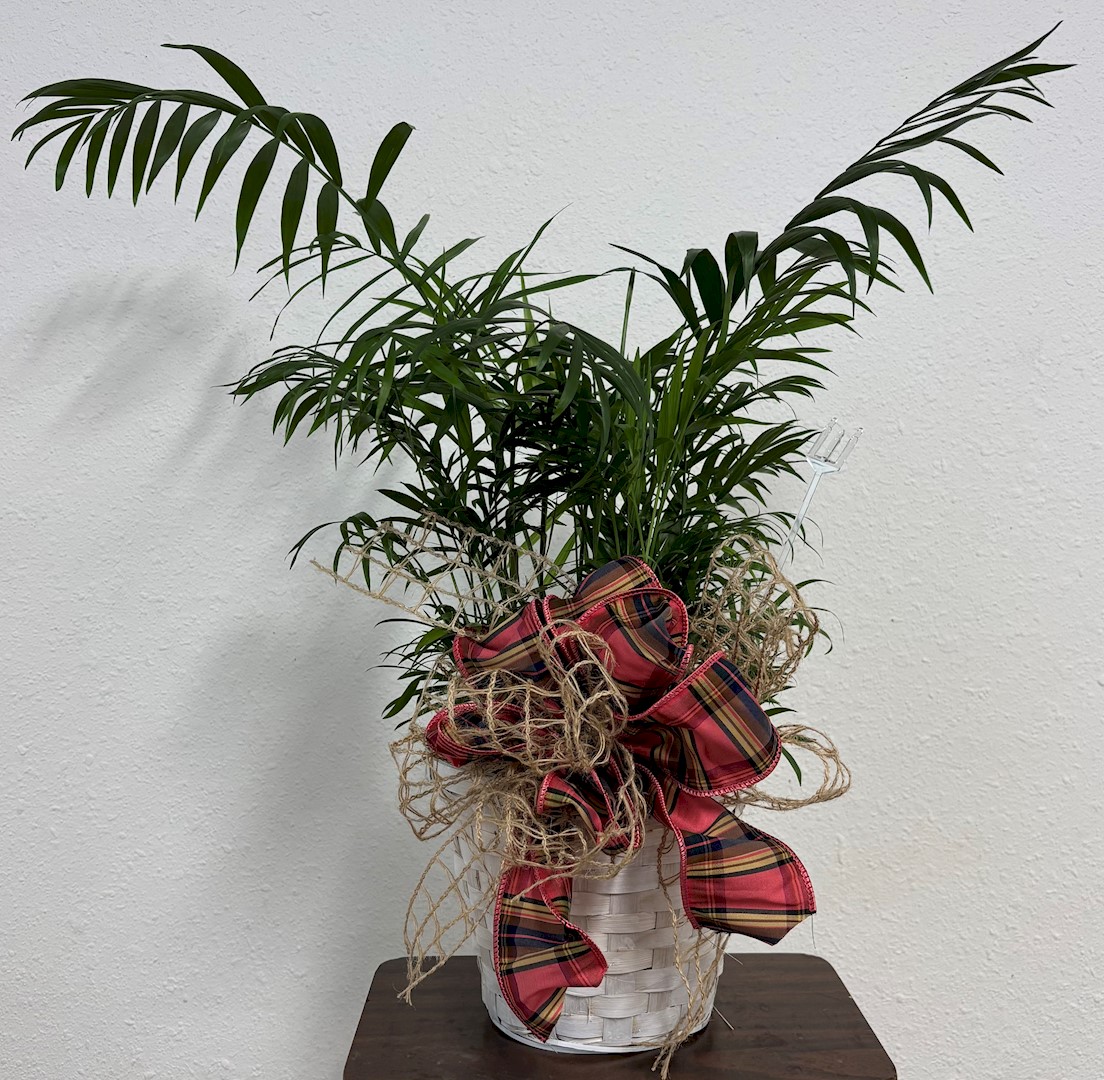 Flowers from Kay Williams and Family