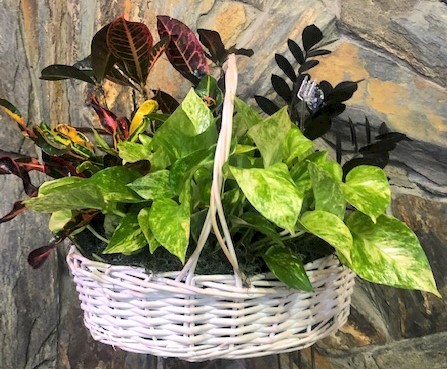 Flowers from The City of Deadwood and Commissioners 
