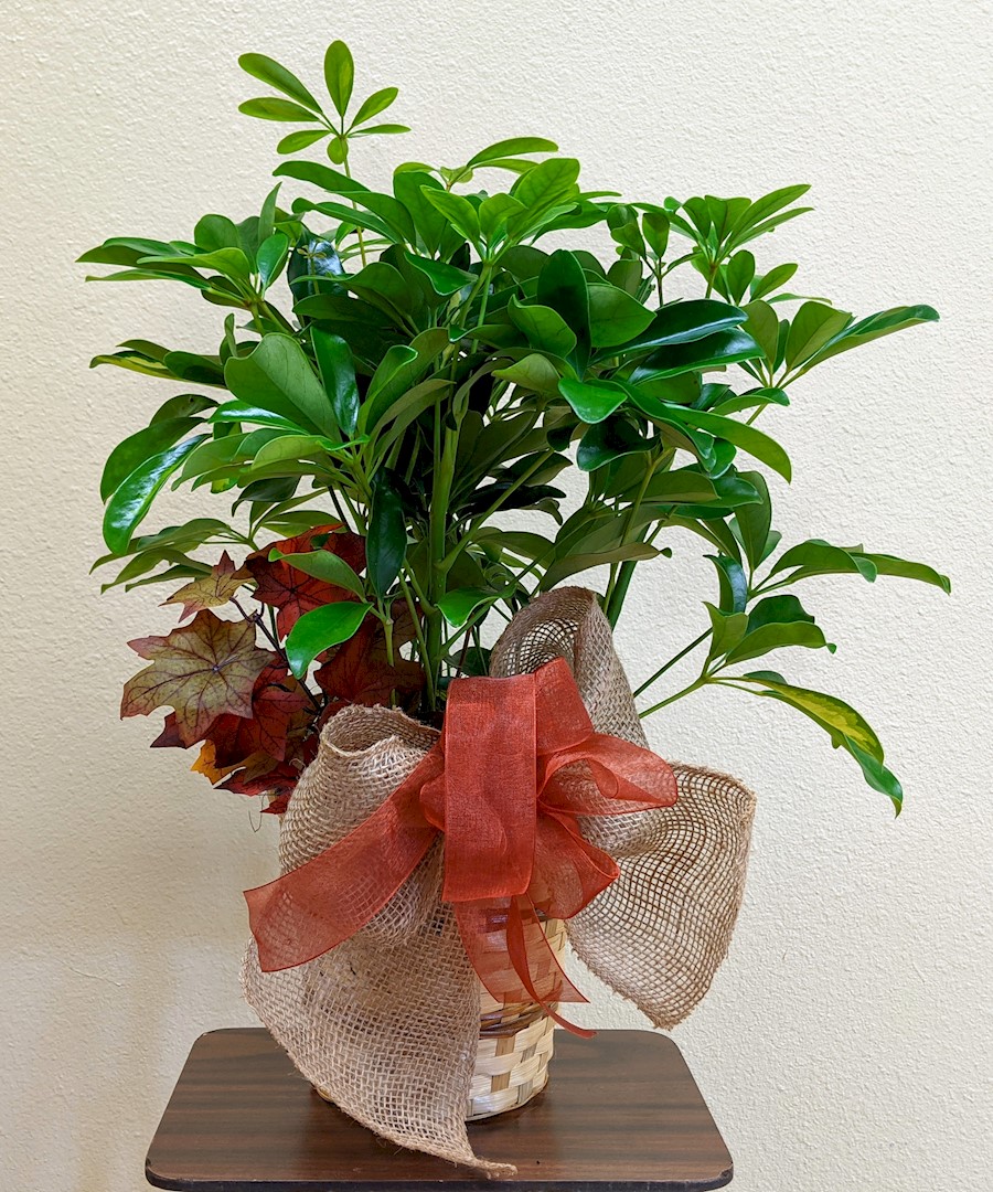 Flowers from John, Wendy, and Gaye