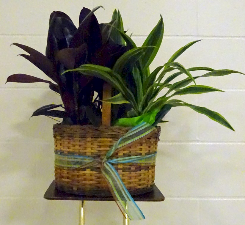 Flowers from Tom and Edith and Dick and Lois