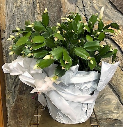 Flowers from The Eymers