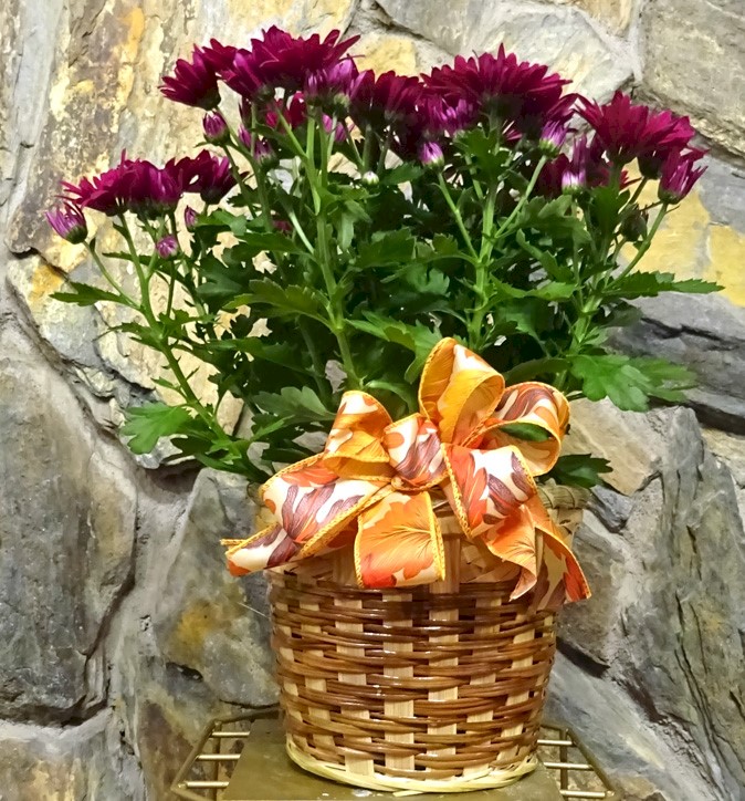Flowers from The staff of Haakon County Court House