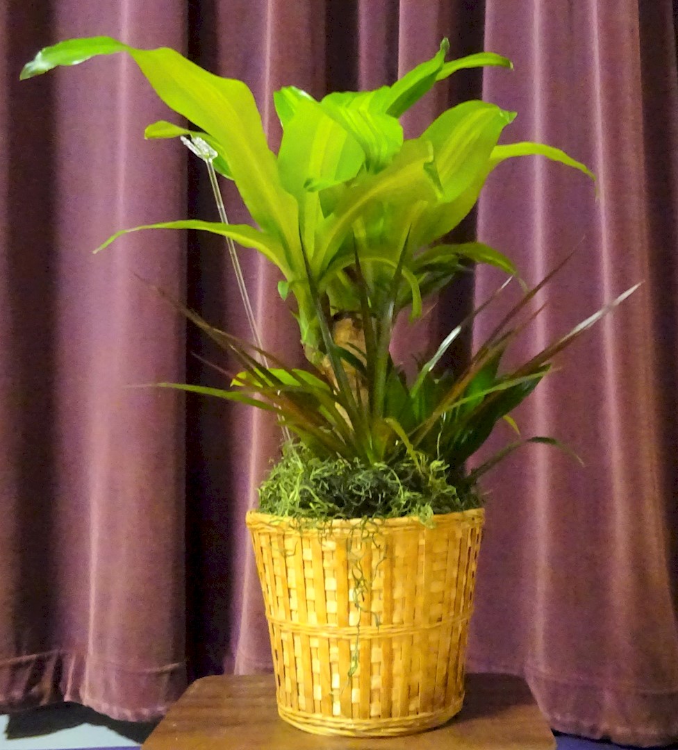 Flowers from Kadoka Nursing Home Staff, Residents, and Board of Directors