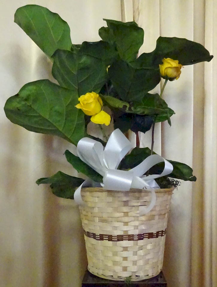 Flowers from Rita Ann Sutton, Todd Stevens and Family, and Troy Stevens and Family