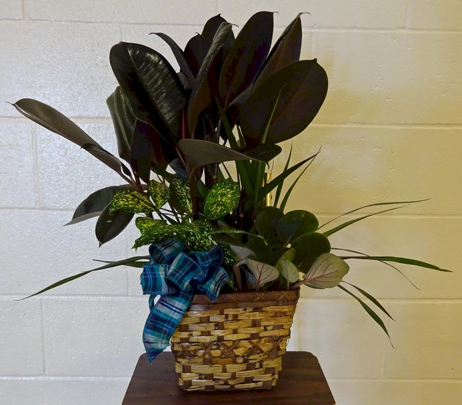 Flowers from Blake and Janelle Hicks and Family