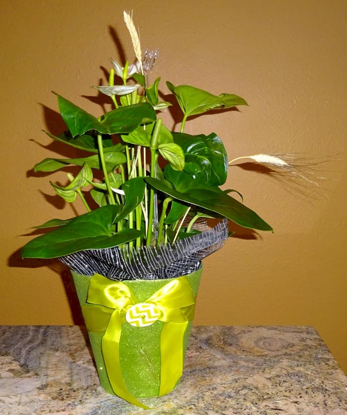 Flowers from Shelbie and Sean
